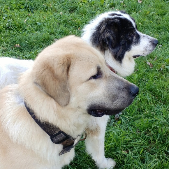 MEET MY KIDS! - Picture 10 of 10